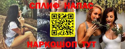 прущие грибы Пушкино