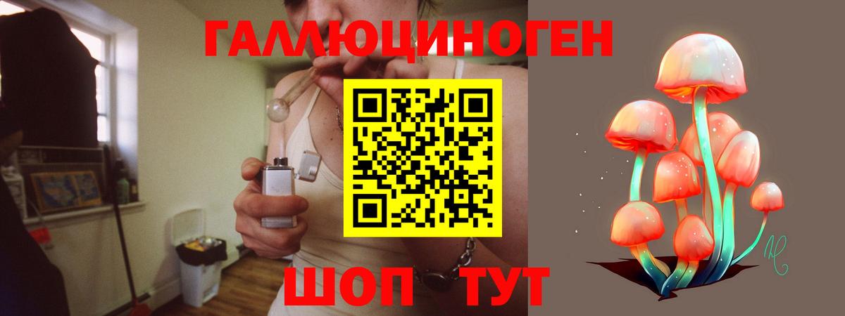 Галлюциногенные грибы GOLDEN TEACHER  Вход с VPN  Янаул  Псилоцибиновые грибы Psilocybine cubensis 